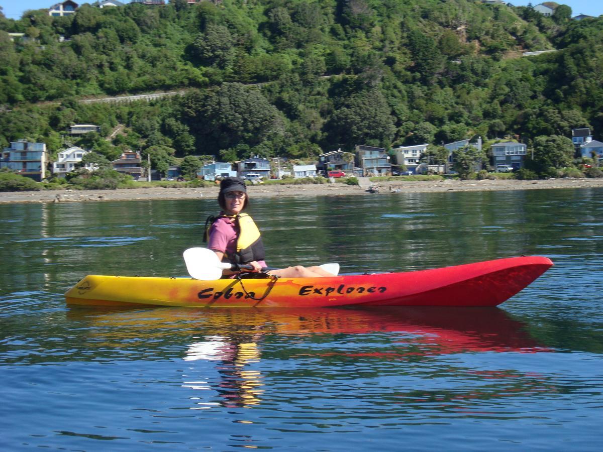 Pukerua Bay Kapiti Waves Bed & Breakfast מראה חיצוני תמונה