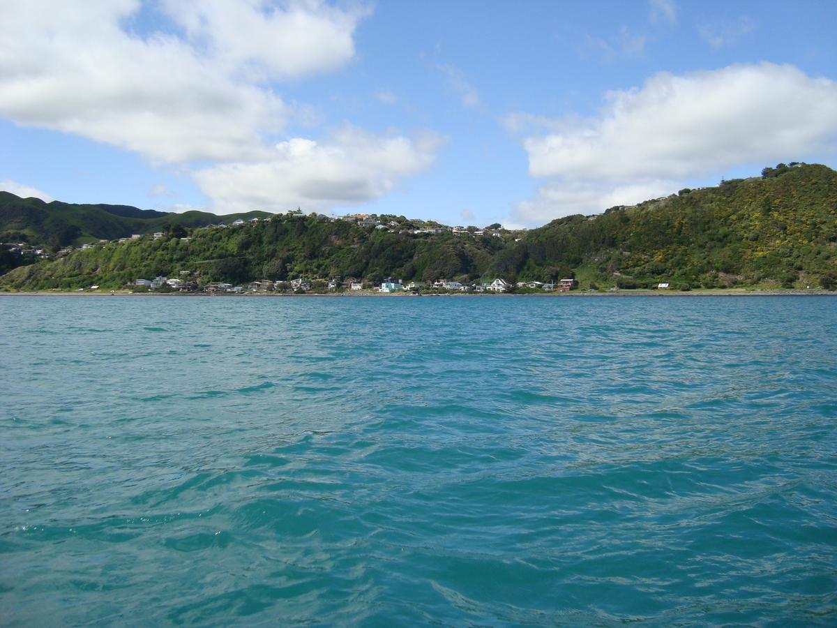 Pukerua Bay Kapiti Waves Bed & Breakfast מראה חיצוני תמונה