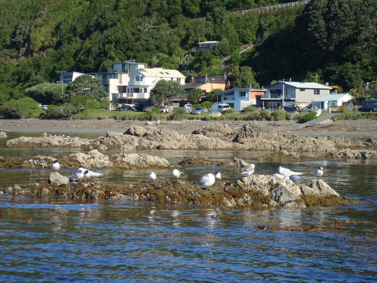 Pukerua Bay Kapiti Waves Bed & Breakfast מראה חיצוני תמונה